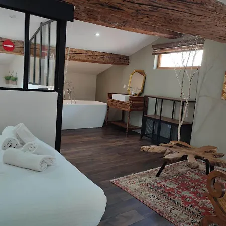 La Terrasse Du Temps Jadis 度假居 卡尔卡松